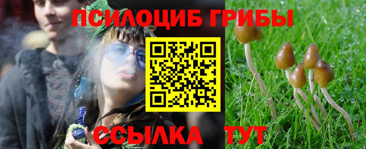 Псилоцибиновые грибы GOLDEN TEACHER Альметьевск